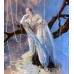 Caixiao-SP Hanfu doll outift LIMITED【宿雪莲歌/Snow Lotus】MSD SD17 ID75 boy doll BJD outfit set