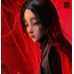 Nian San Qian/念三千 Doll Head LIMITED【Bird Cube】BJD 68/70cm size doll head Nian San Qian/念三千 Doll Head LIMITED【Bird Cube】BJD 68/70cm size doll head