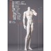 75cm Wutong boy Doll Body LIMITED【BonBon Galaxu】BJD 75cm uncle doll body ID75 75cm Wutong boy Doll Body LIMITED【BonBon Galaxu】BJD 75cm uncle doll body ID75