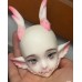 Little Dragon Doll HEAD only LIMITED【KuKuDoll】1/4 MSD size BJD boy doll head 43cm