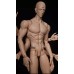 Mijia 3 eyes head/77cm doll body LIMITED【Fantasy Shape】BJD 77cm boy doll head/body Mijia 3 eyes head/77cm doll body LIMITED【Fantasy Shape】BJD 77cm boy doll head/body
