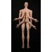 Mijia 3 eyes head/77cm doll body LIMITED【Fantasy Shape】BJD 77cm boy doll head/body Mijia 3 eyes head/77cm doll body LIMITED【Fantasy Shape】BJD 77cm boy doll head/body